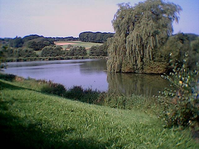 Fischteiche im Stinderbachtal