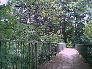 Der Wanderweg vom Stindertal ins Neandertal verl�uft �ber diese Br�ck