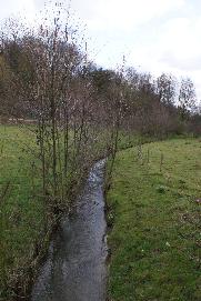 Wir �berqueren den Hasselbach