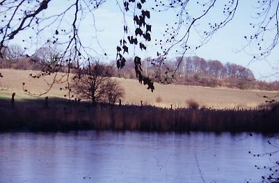 Fischteich im Rotth�user Bachtal