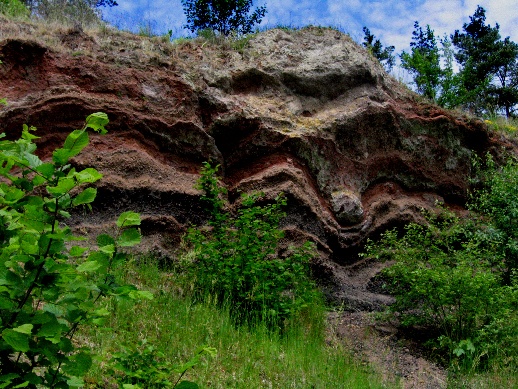 Lavabombe in einem Aufschluss am Schneeberg in Boos, GeoPark Eifel