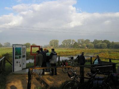 Renaturierte Auenlandschaft an der Niers