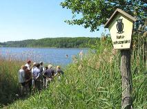 Naturschutzgebiet am Lieper Winkel