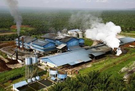 Palm�lplantage mit Palm�lfabrik in Indonesien