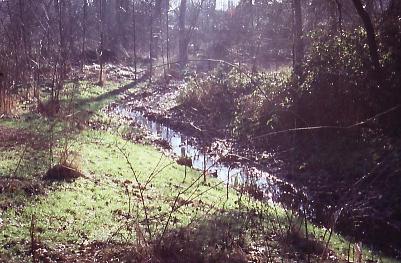 Der Pillebach renaturiert