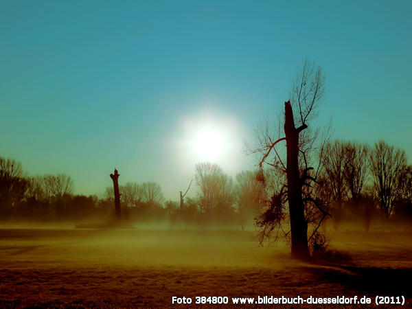 Susanne Behr: "D�rre?"