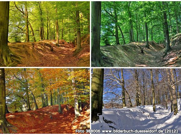 Sebastian Schmidt: "Jahreszeiten im Stadtwald"