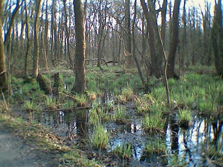 Am Sieben-Br�cken-Weg