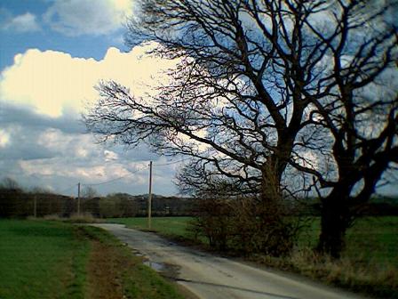 Auf den H�hen des buckeligen Landes